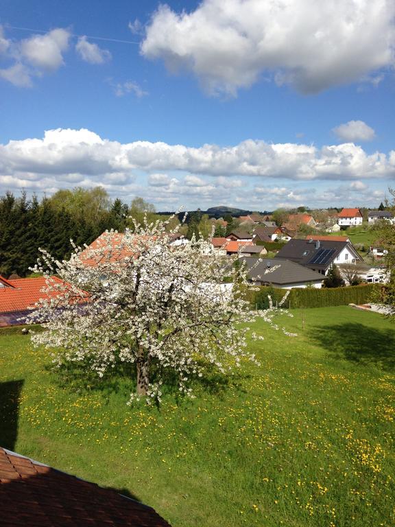 Annabell Weisbach (Baden-Wurttemberg)